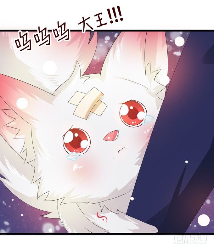 千年的约定245