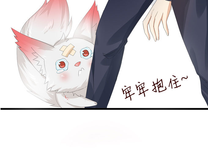 千年的约定244