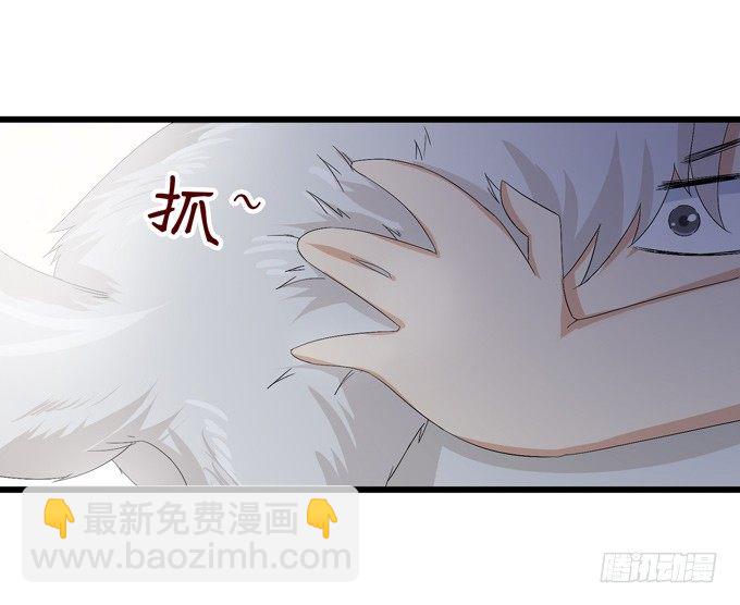 千年的约定234