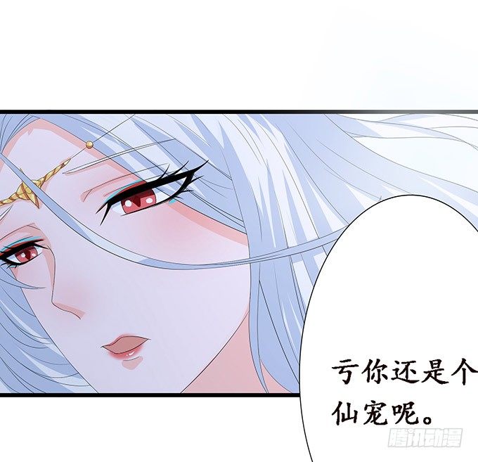 妲己的请求12