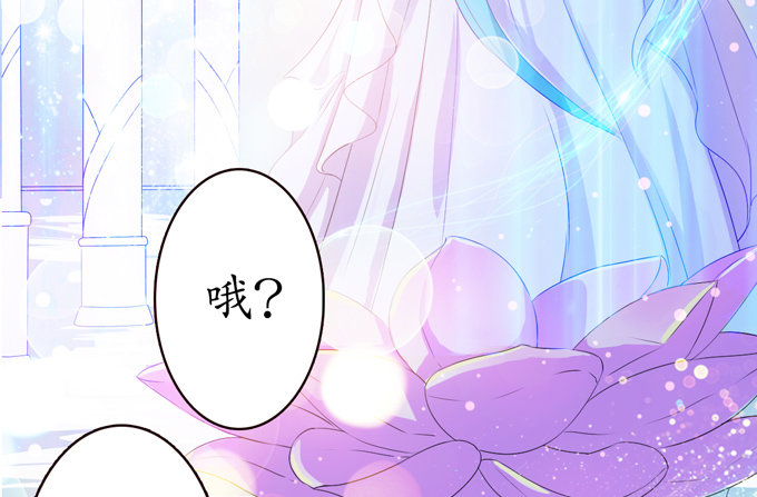 千年的约定10