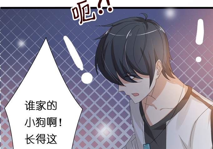 千年的约定242