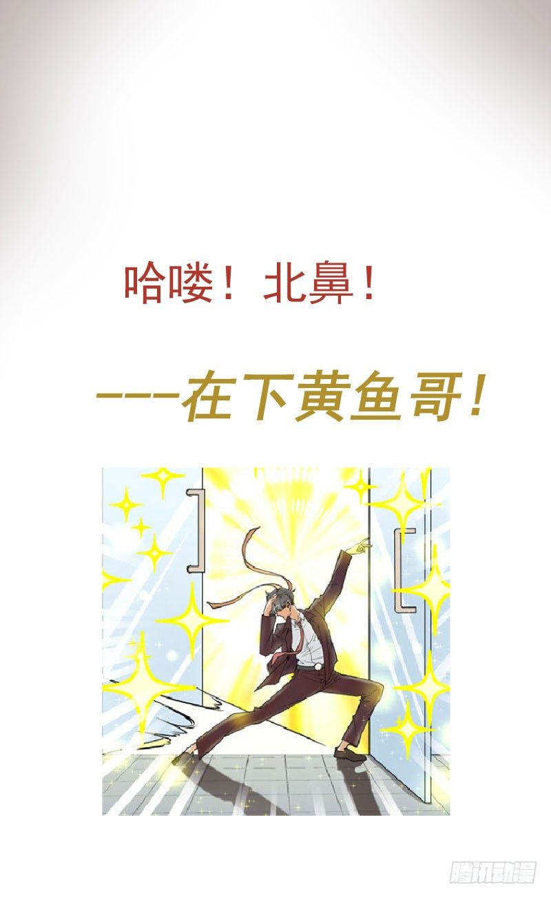 在下黄鱼哥，请多指教0