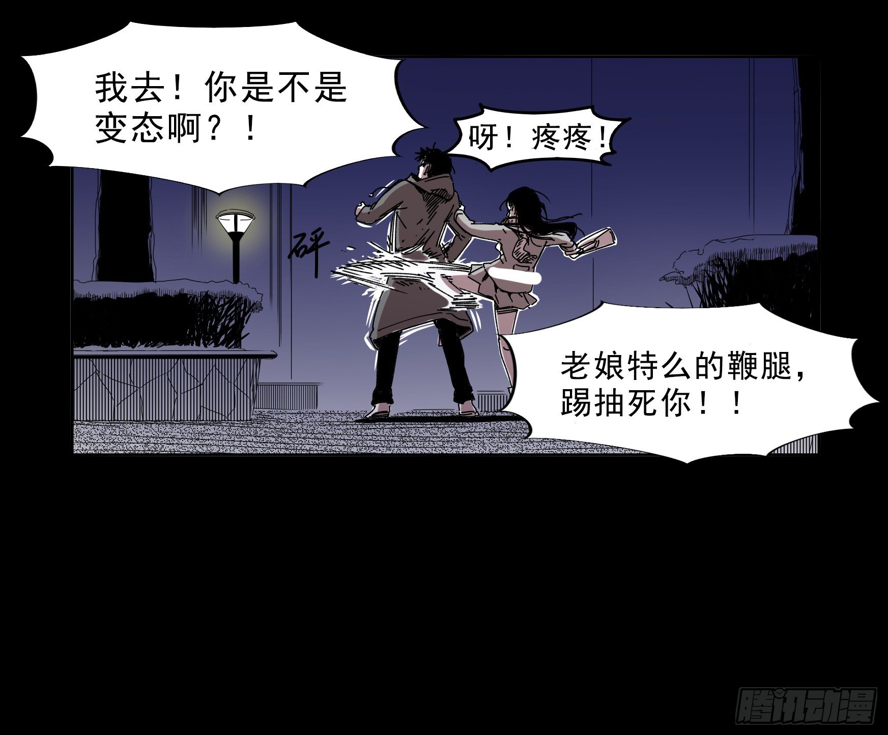 看家的猫13