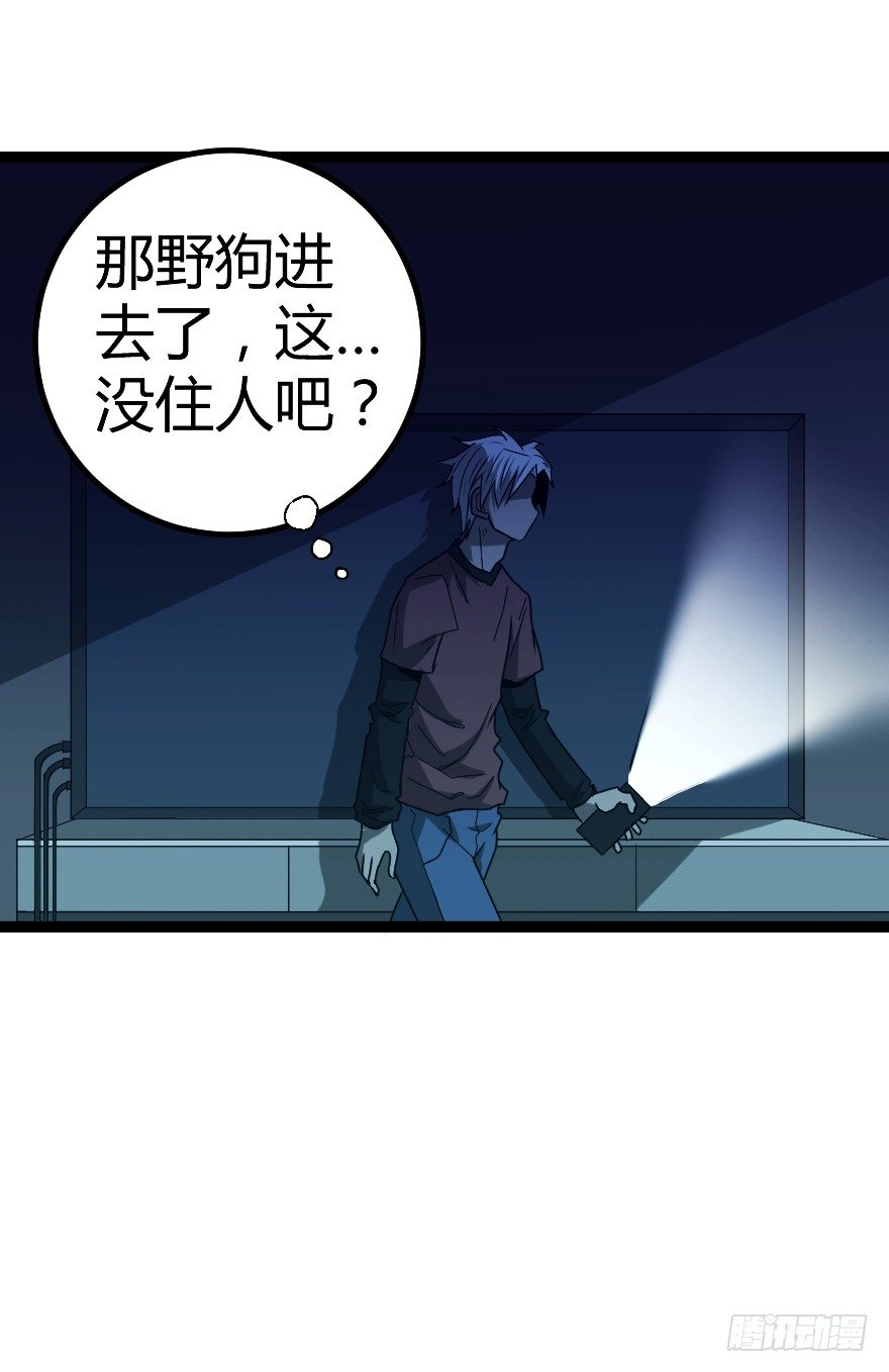 犬缘（中）9