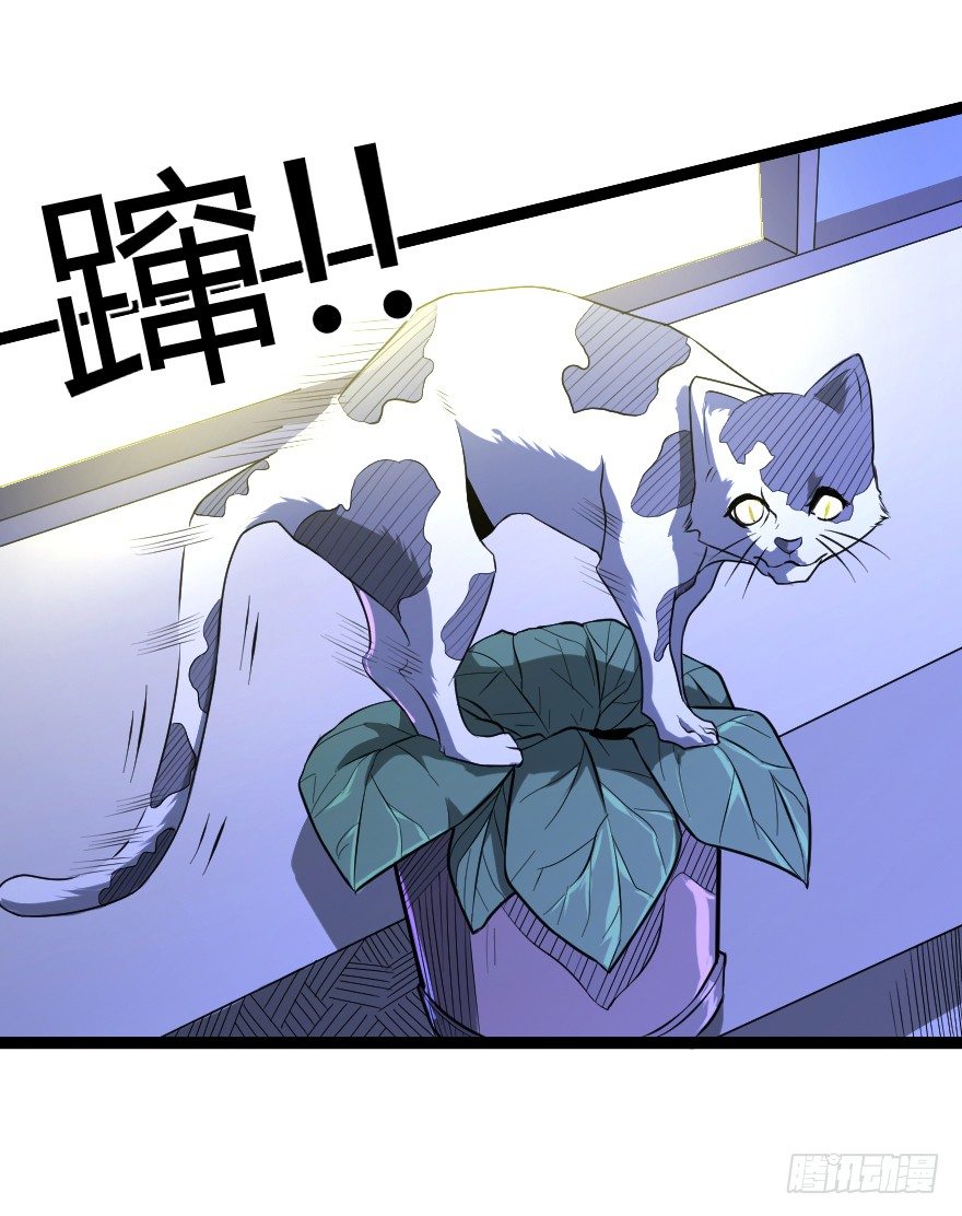 垃圾分类（上）14