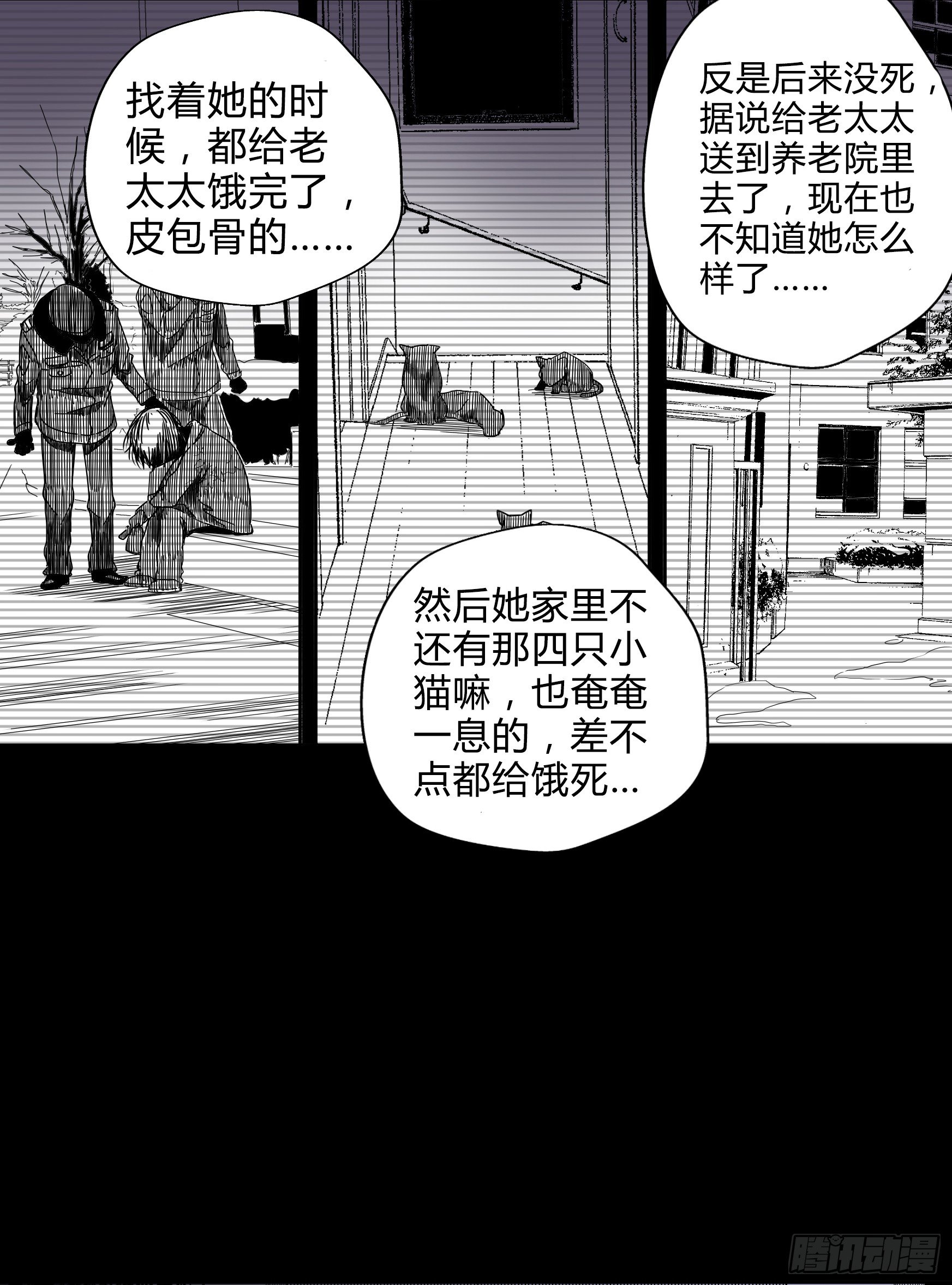 看家的猫11