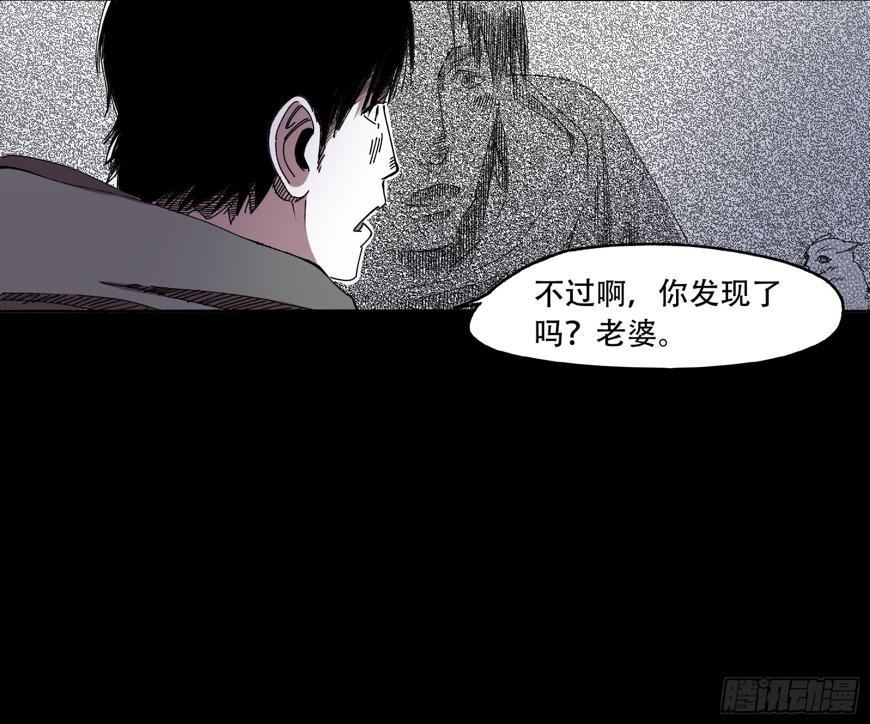 看家的猫25