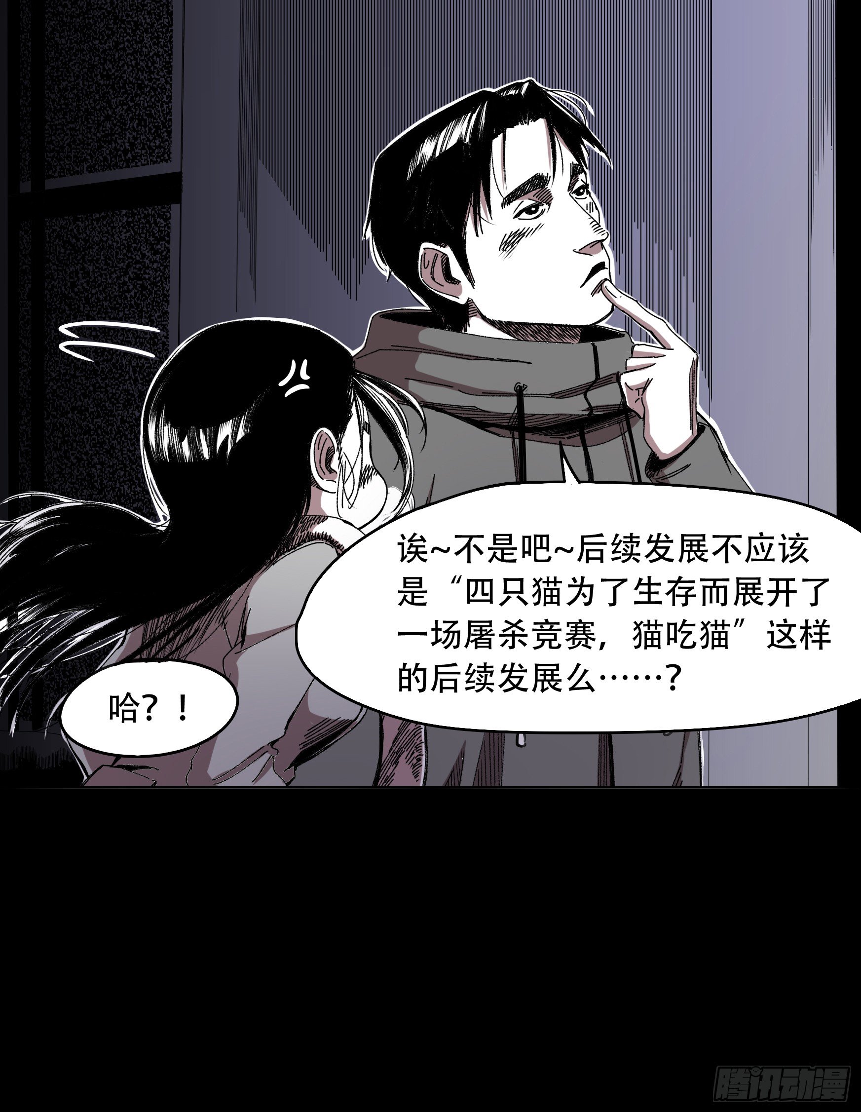 看家的猫12