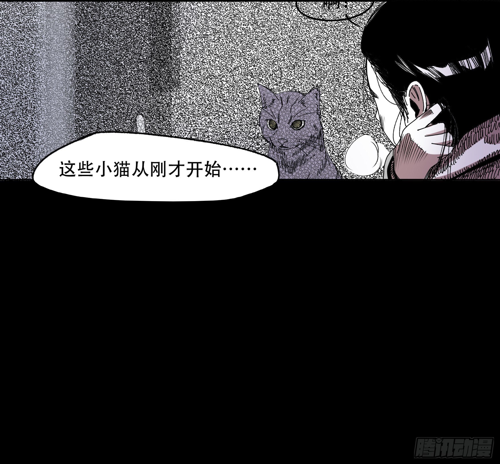 看家的猫26