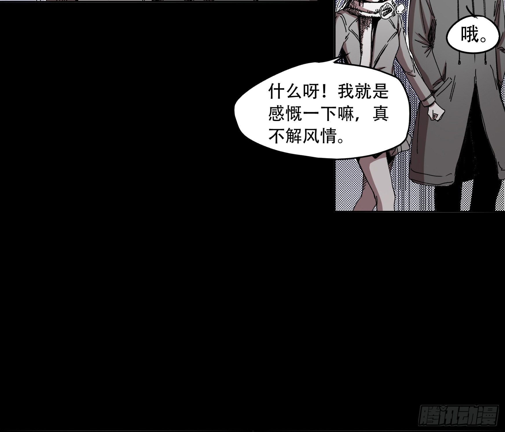 看家的猫6