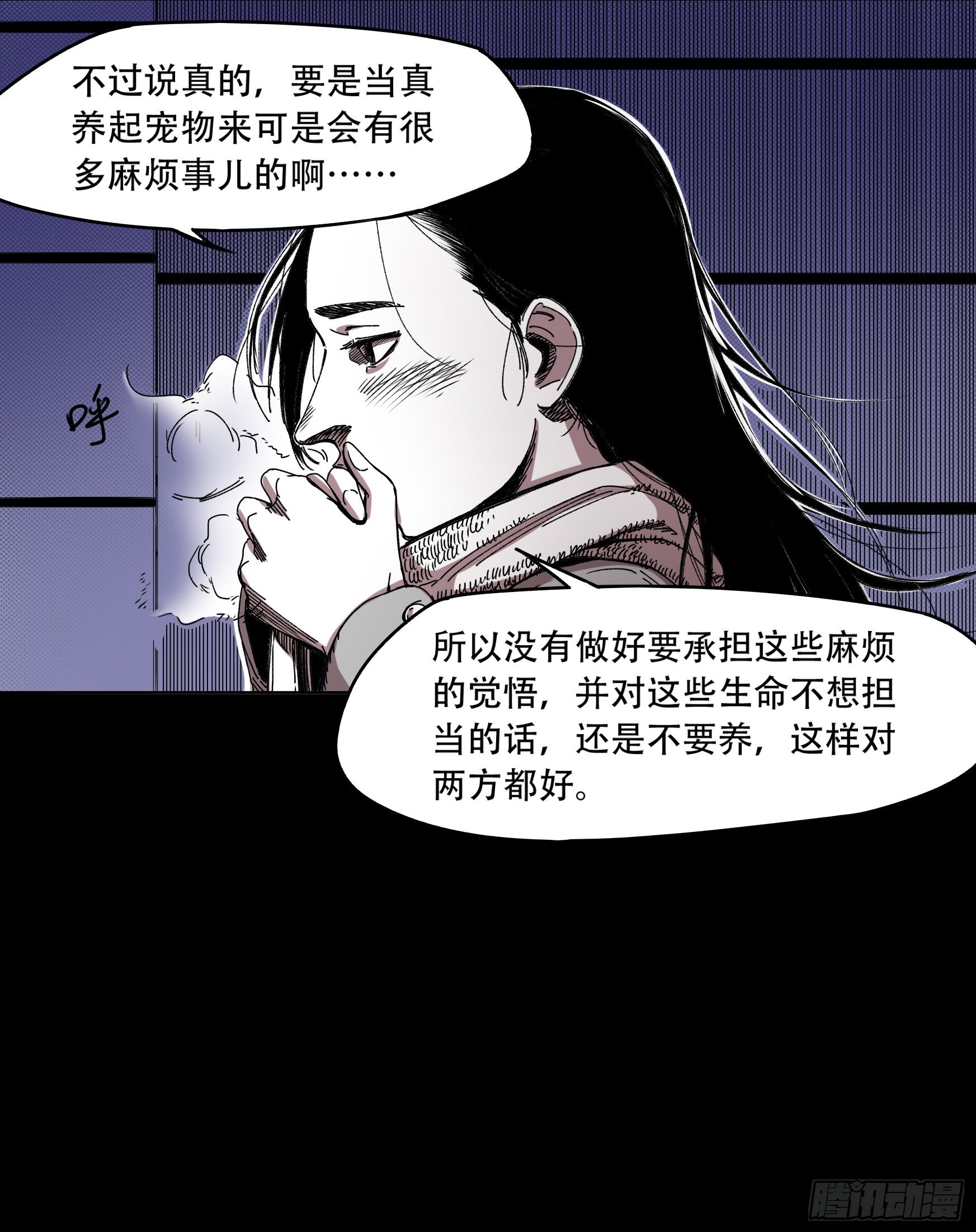 看家的猫7