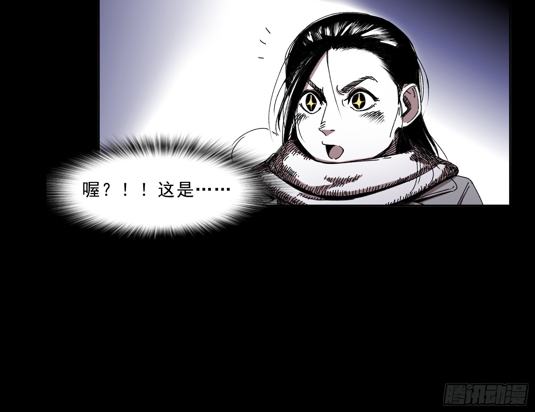 看家的猫16