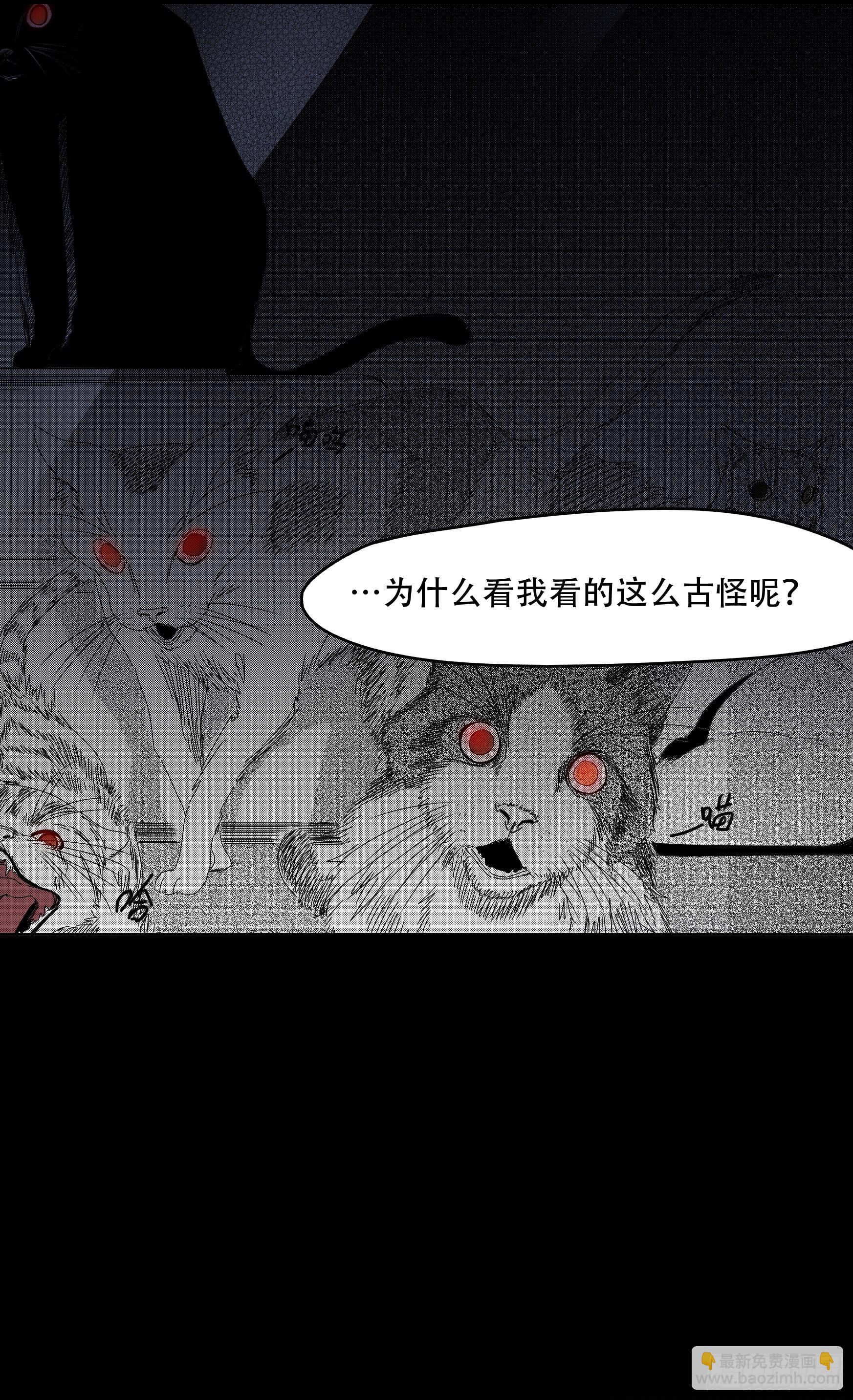 看家的猫27