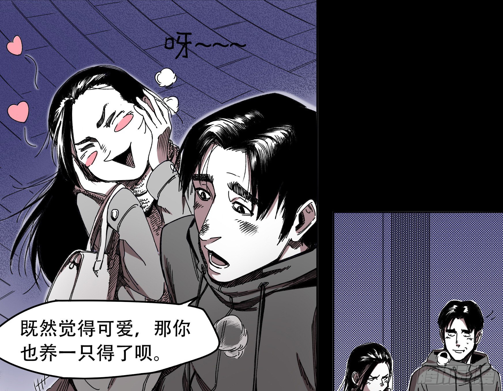 看家的猫5