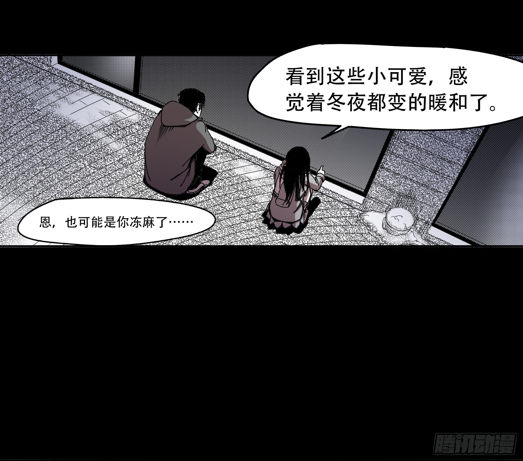 看家的猫24