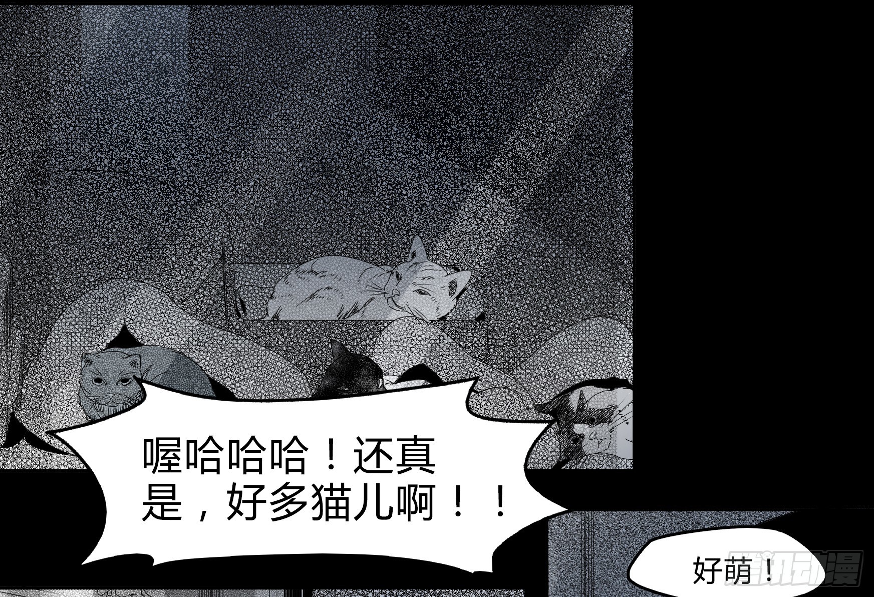 看家的猫19