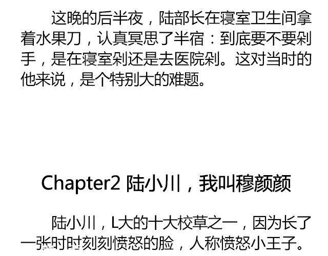 白雪莹莹，橙光渐暖 （上）| 文：木泱泱15