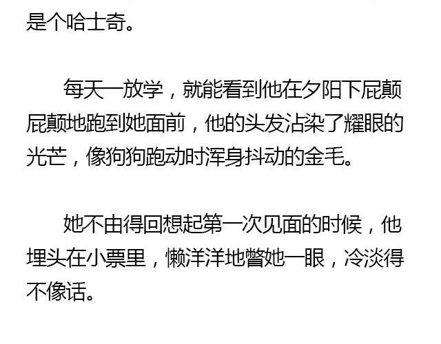 我们都被忘了 Part.632