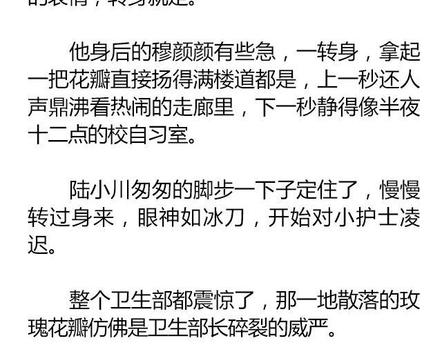 白雪莹莹，橙光渐暖 （上）| 文：木泱泱21