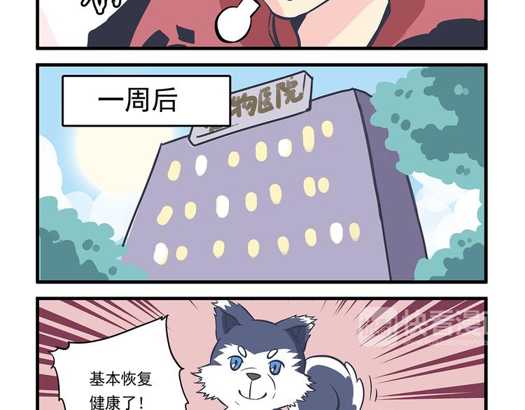第9话 拯救&amp;amp;伤口13