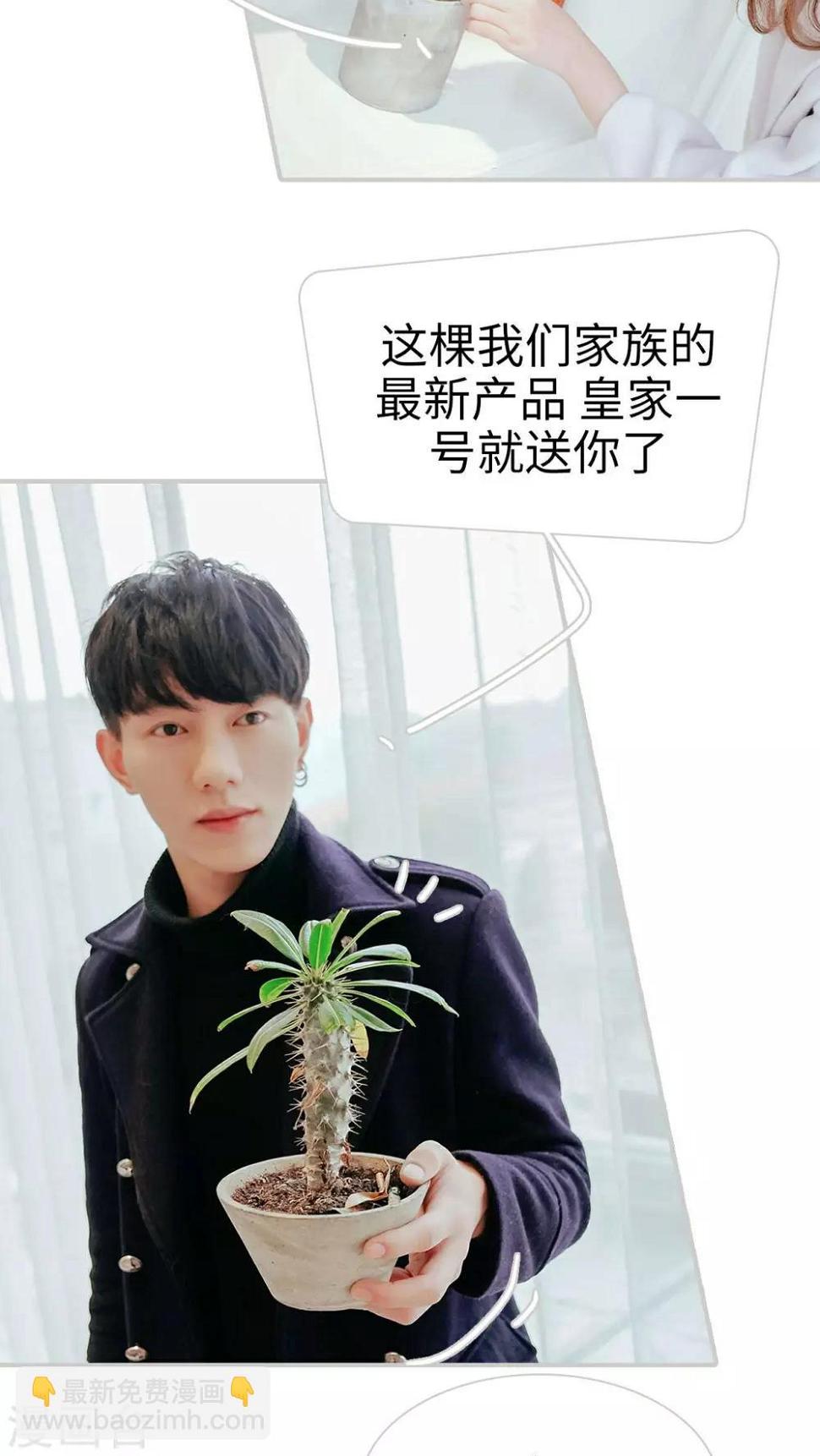 第31话17