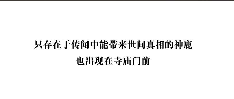 预告！18