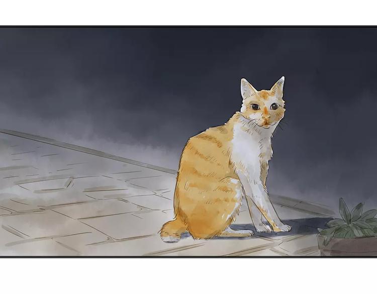 第11话（下）深夜食—体谅35