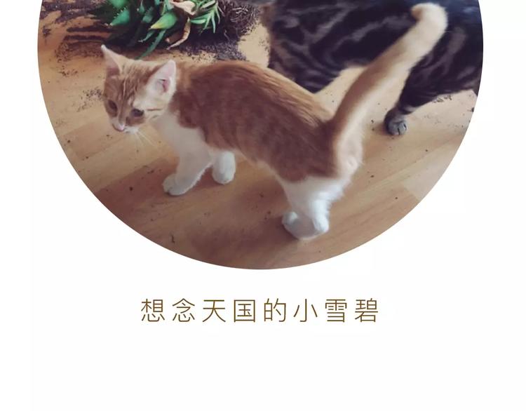 第11话（下）深夜食—体谅91