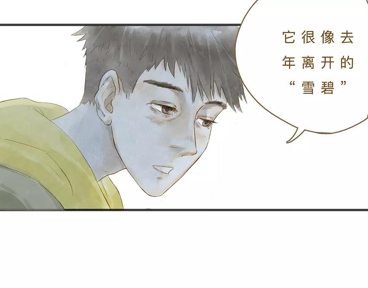 第11话（下）深夜食—体谅40