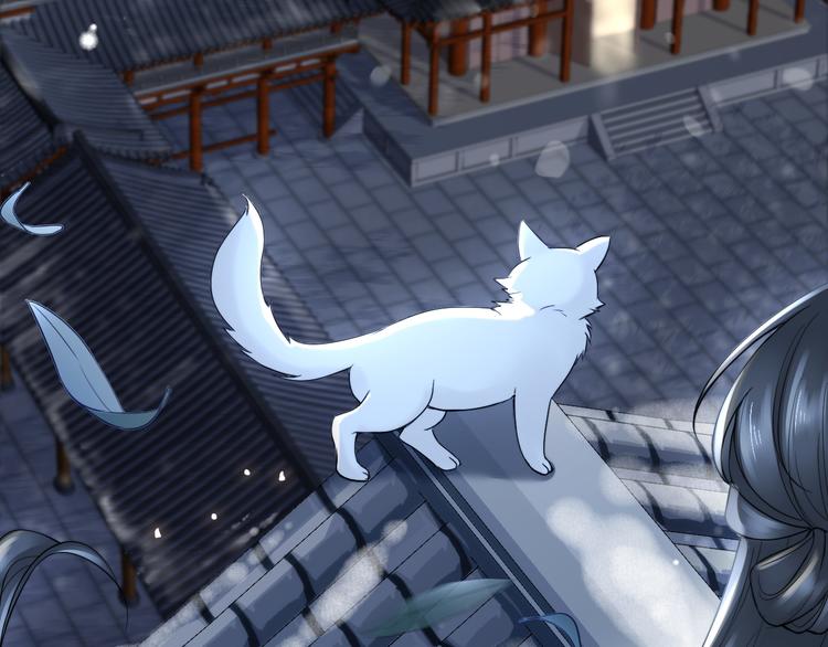 第14话 寻引药108