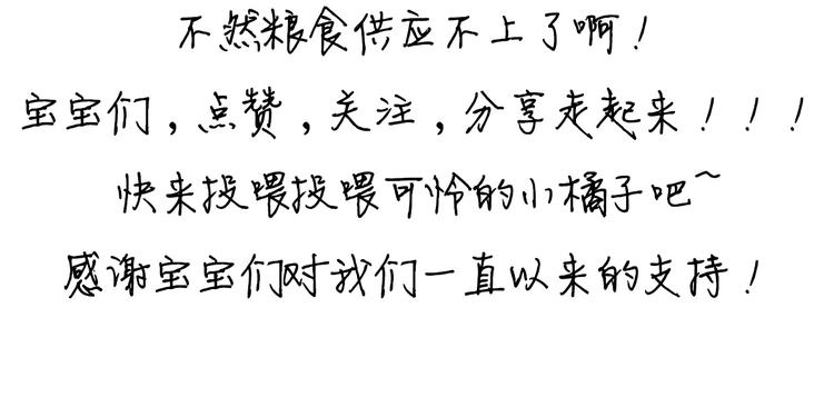 作者有话说12