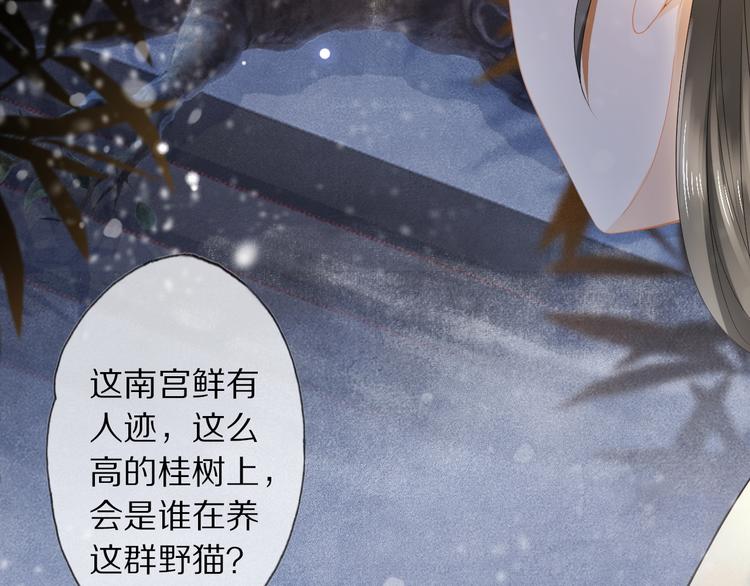 第14话 寻引药62