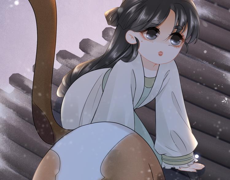 第14话 寻引药65