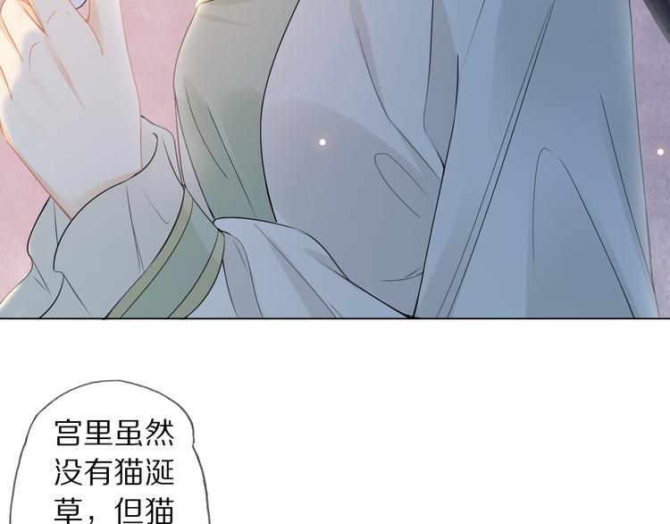 第14话 寻引药42