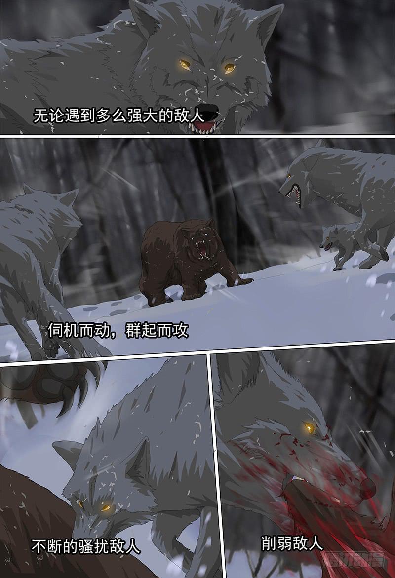 第二十话上 狼牙行动4