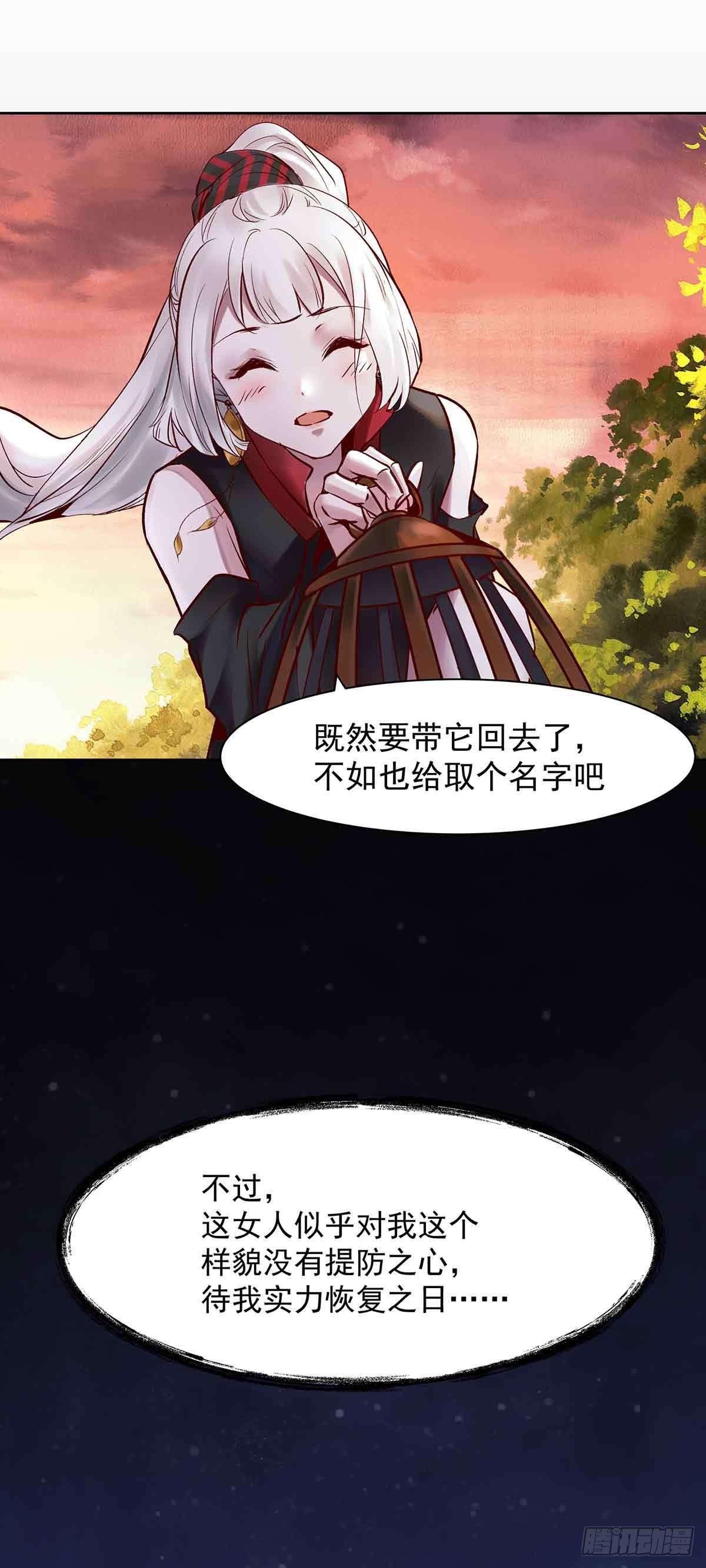 纠缠不清的命运19