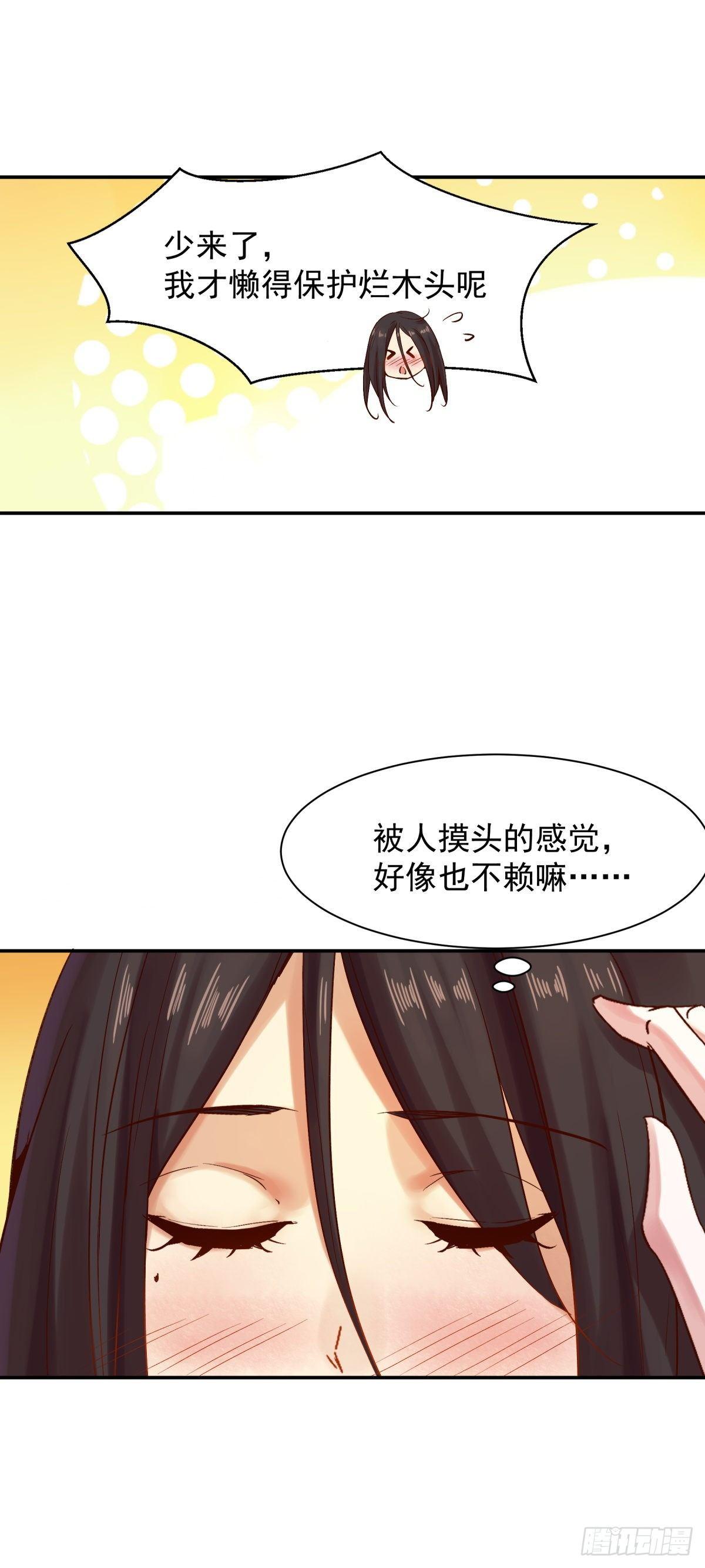 森林易主20