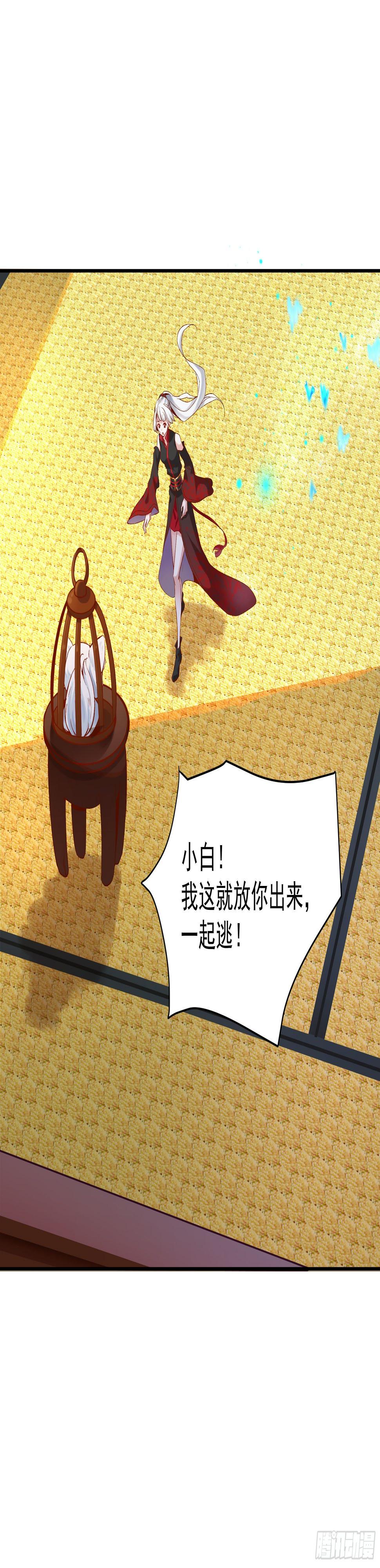 圈套8