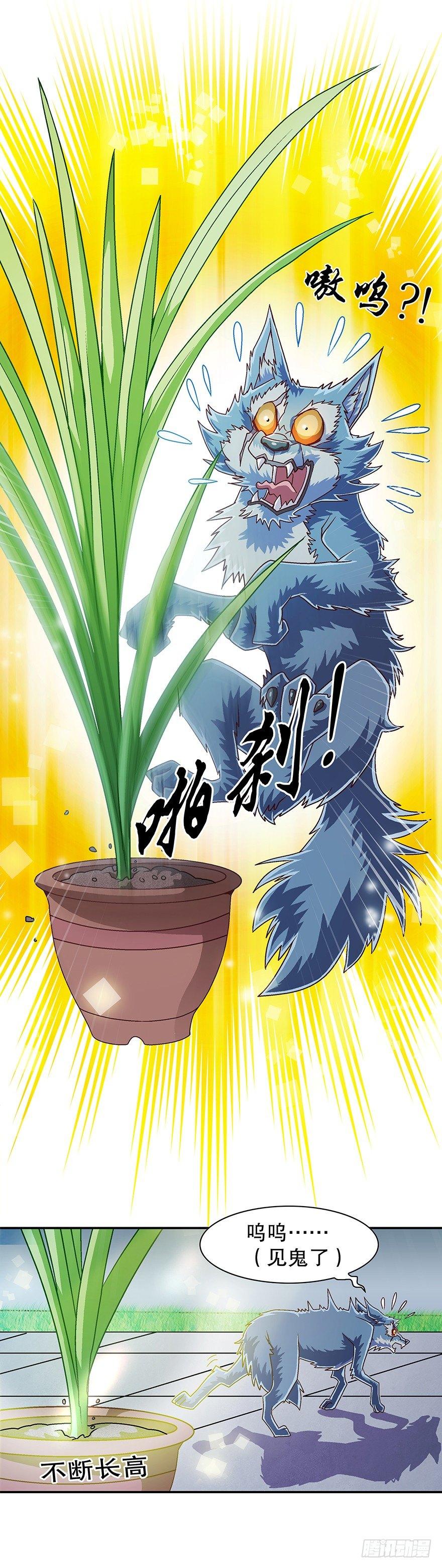 晶米17