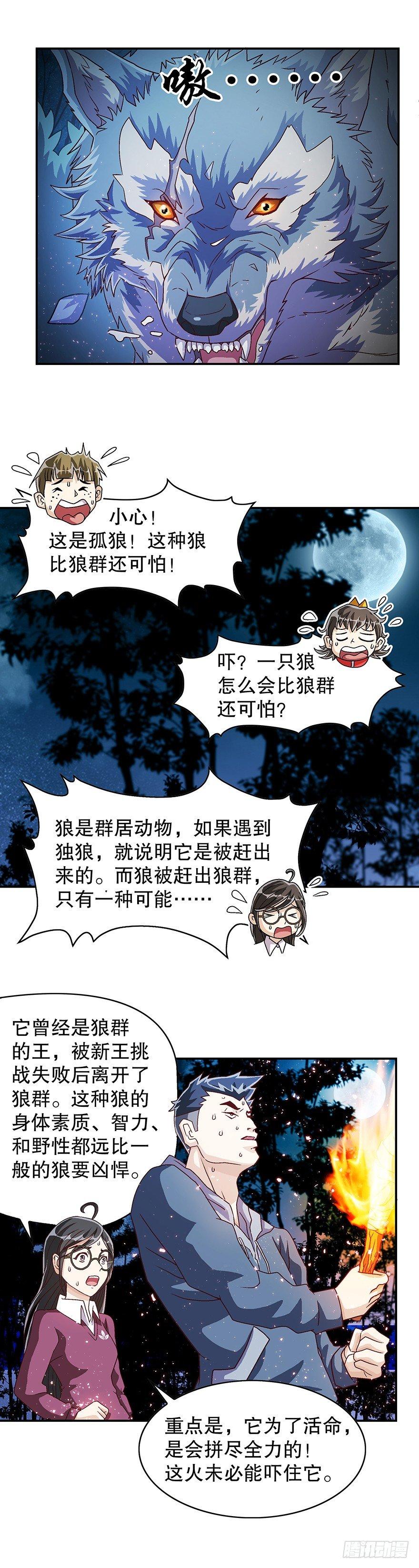大师与狼5
