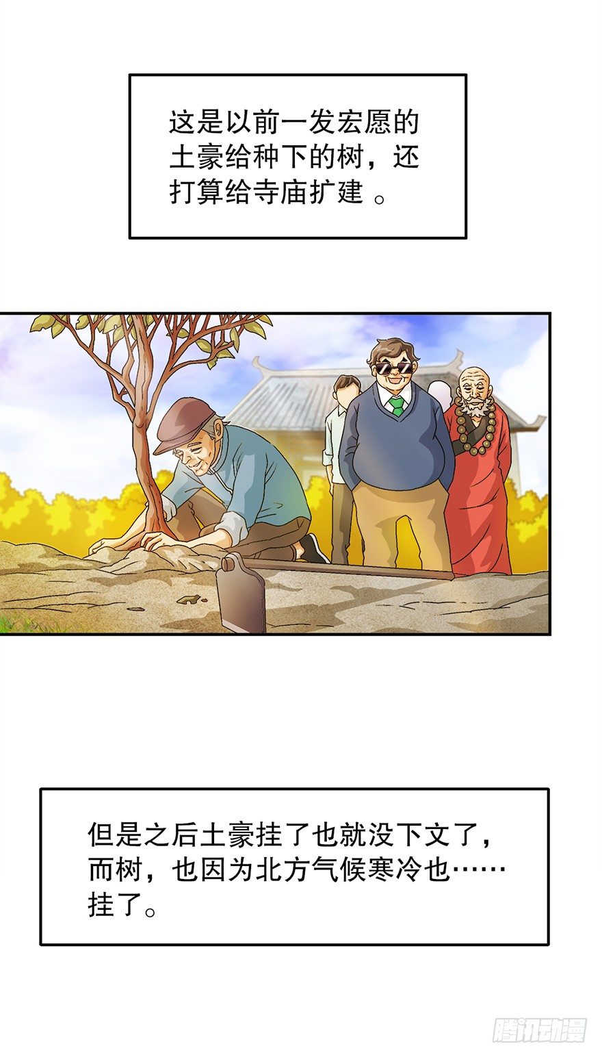 山中有座庙5
