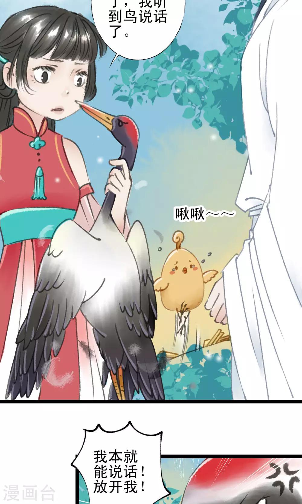 最终话 鸟变人了2