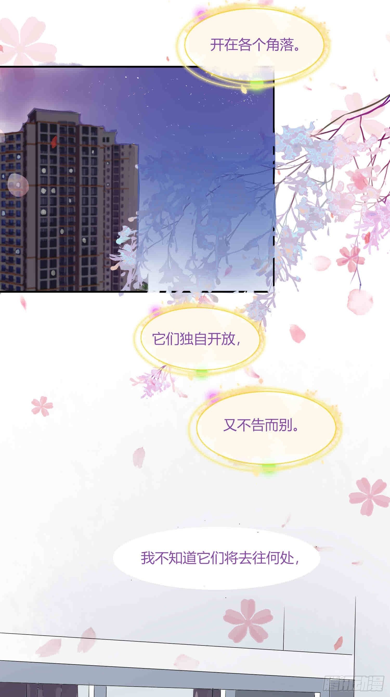 补习11