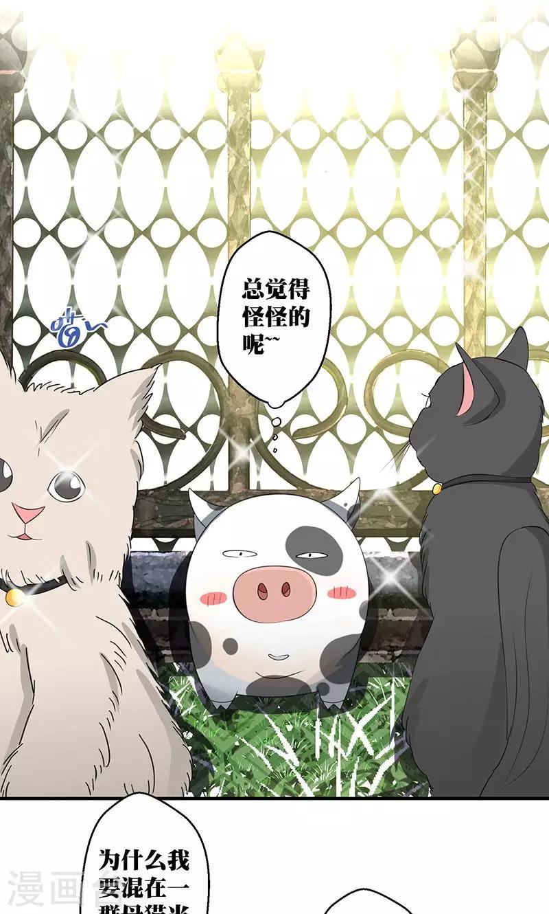 第3话 你的精神是怎么回事啊 ？10