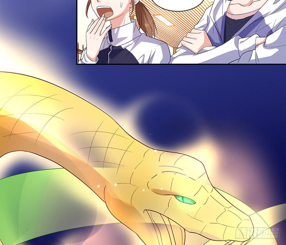 神之手63