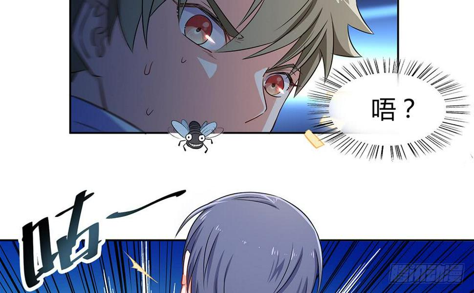 打苍蝇25
