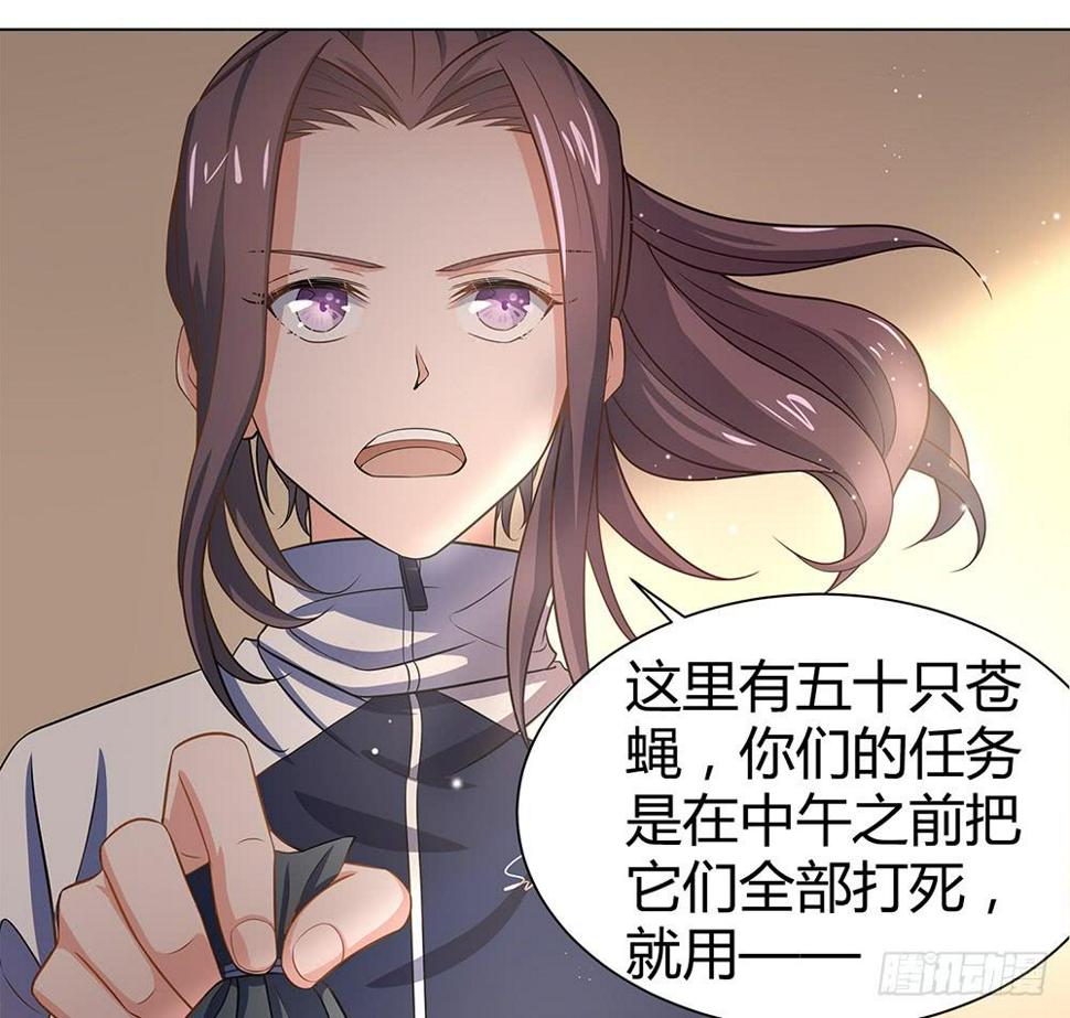 打苍蝇10