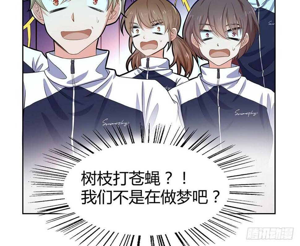 打苍蝇13