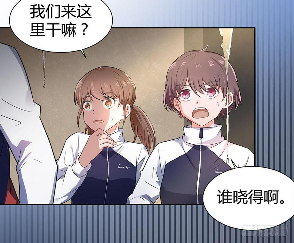 打苍蝇5
